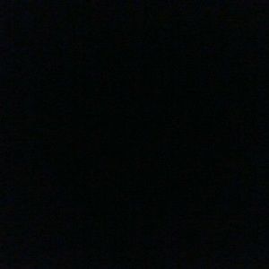 Meet your Posher, Trisha